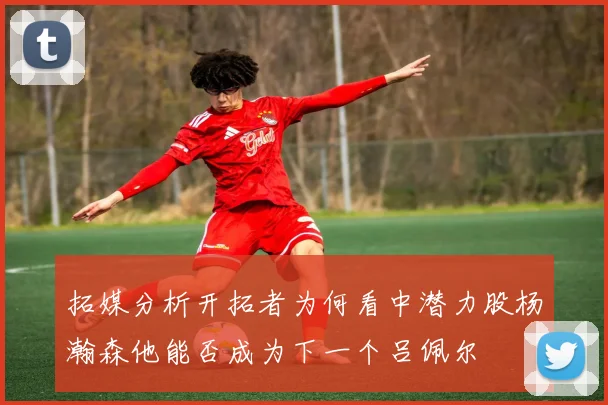 拓媒分析开拓者为何看中潜力股杨瀚森他能否成为下一个吕佩尔